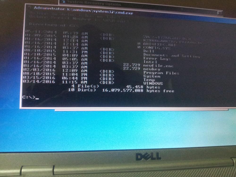 cd_boot.jpg