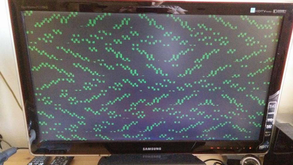 13441637_10208012326977811_738132926_o.jpg