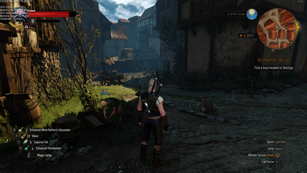 witcher5.png