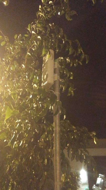 IMG_20161231_013119149.jpg