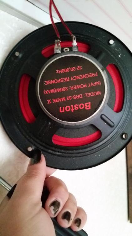 20170503_190304.jpg