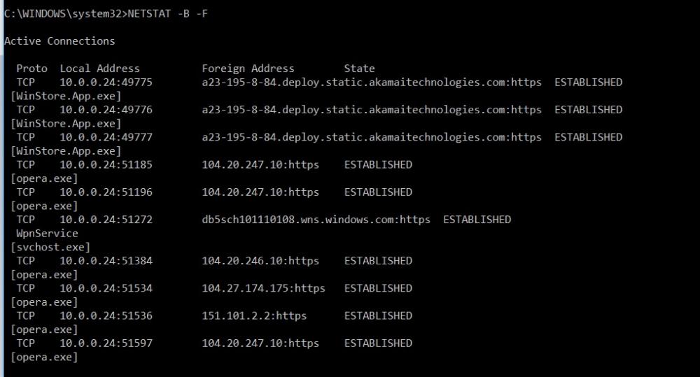 NETSTAT -B -F.jpg