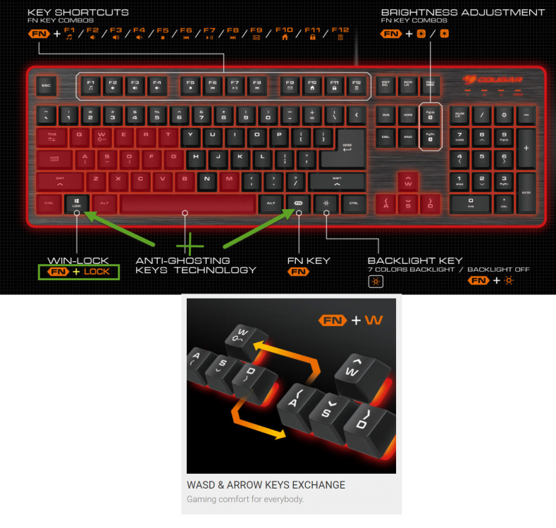 image.thumb.png.098477d6bd544055e575d1688b278cd2.png