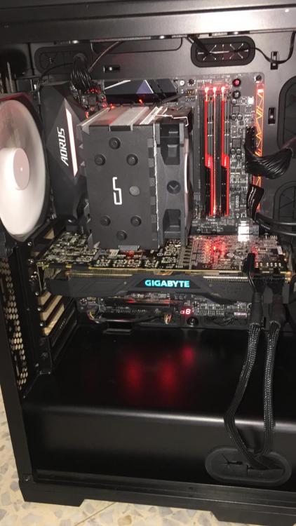 KOZG3743[1].JPG