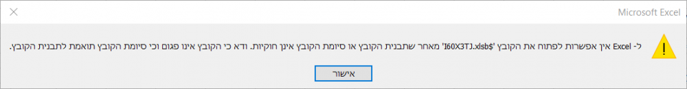 אקסל שגיאה.png