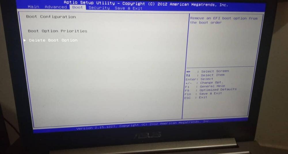 73375400_1424795951016515_7209245461243232256_n.jpg