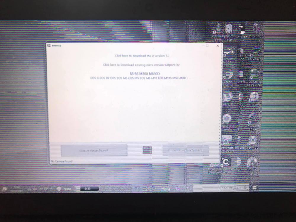 226279463_2500963103370676_1060508130842851472_n.jpg