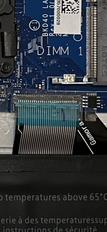F0FD1EFB-1DA6-496F-96F5-9BB0709D3C8A.png
