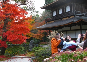 להסיר תיירים מהתמונה