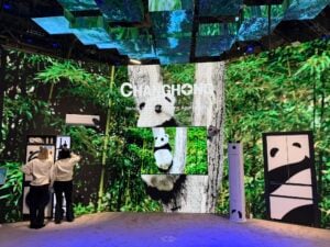 Changhong / CHiQ: פנדות בסלון ומפלצות גיימינג בחדר העבודה